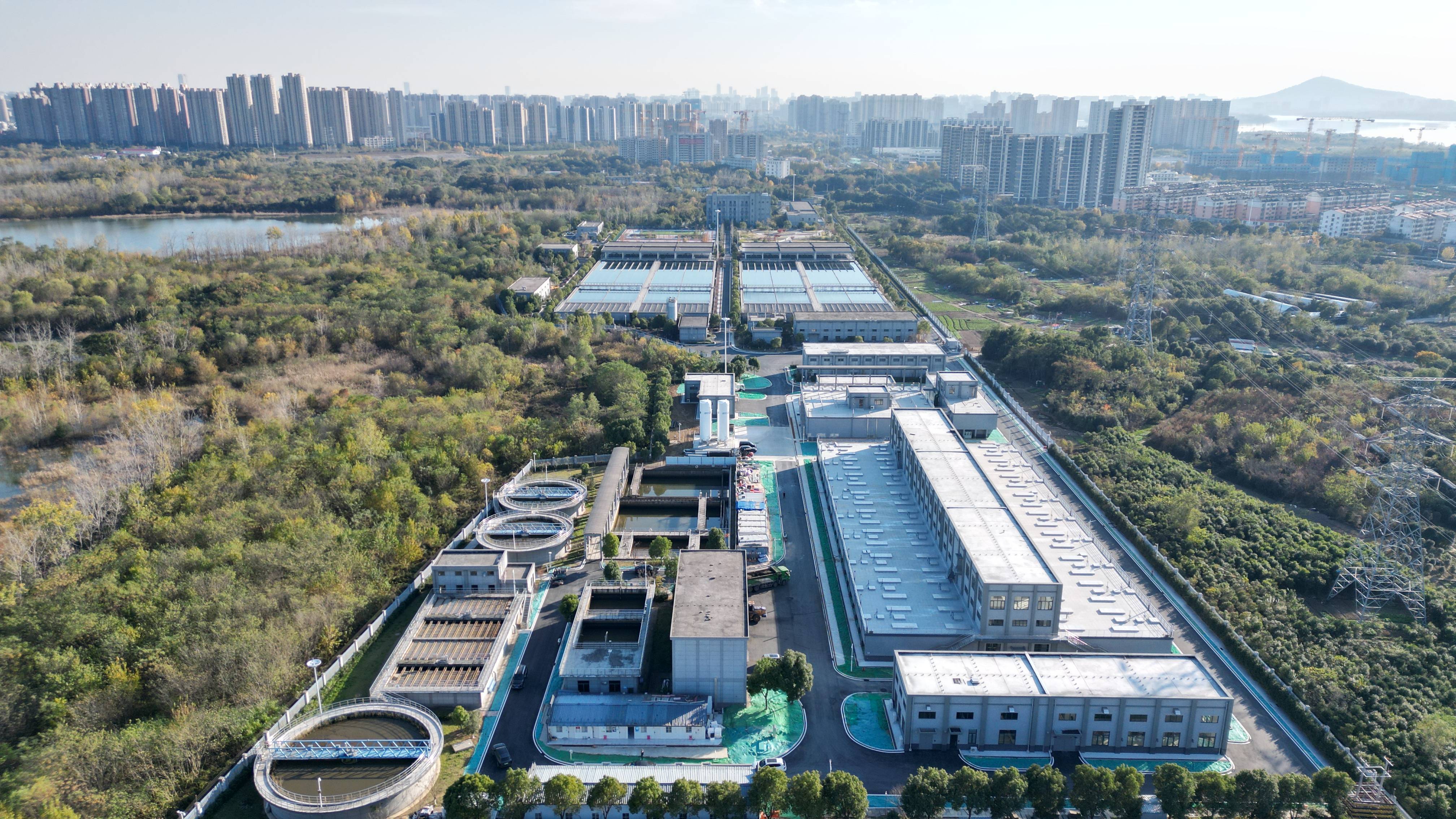 中山市合肥专业企业价值增长(合肥市重点企业产业目录)