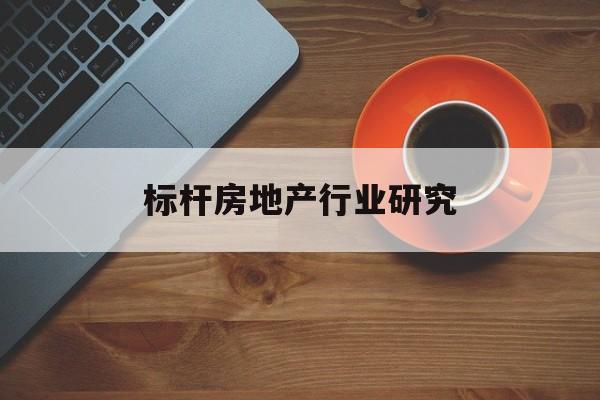中山市标杆房地产行业研究(房地产领域的标杆人物)