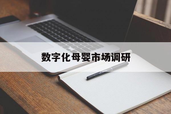 中山市数字化母婴市场调研(数字化母婴市场调研报告)